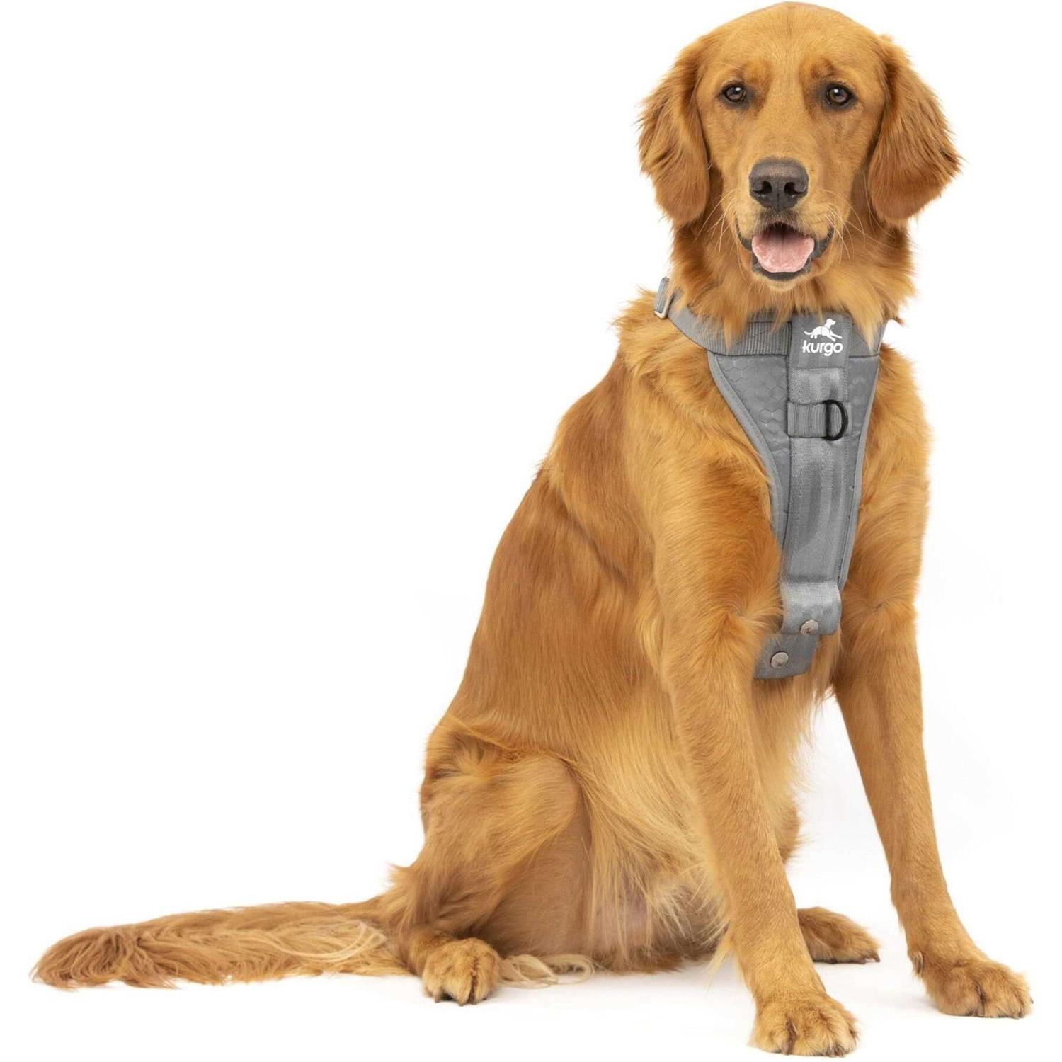 Kurgo Enhanced Strength Tru-Fit Dog Harness - Healthber