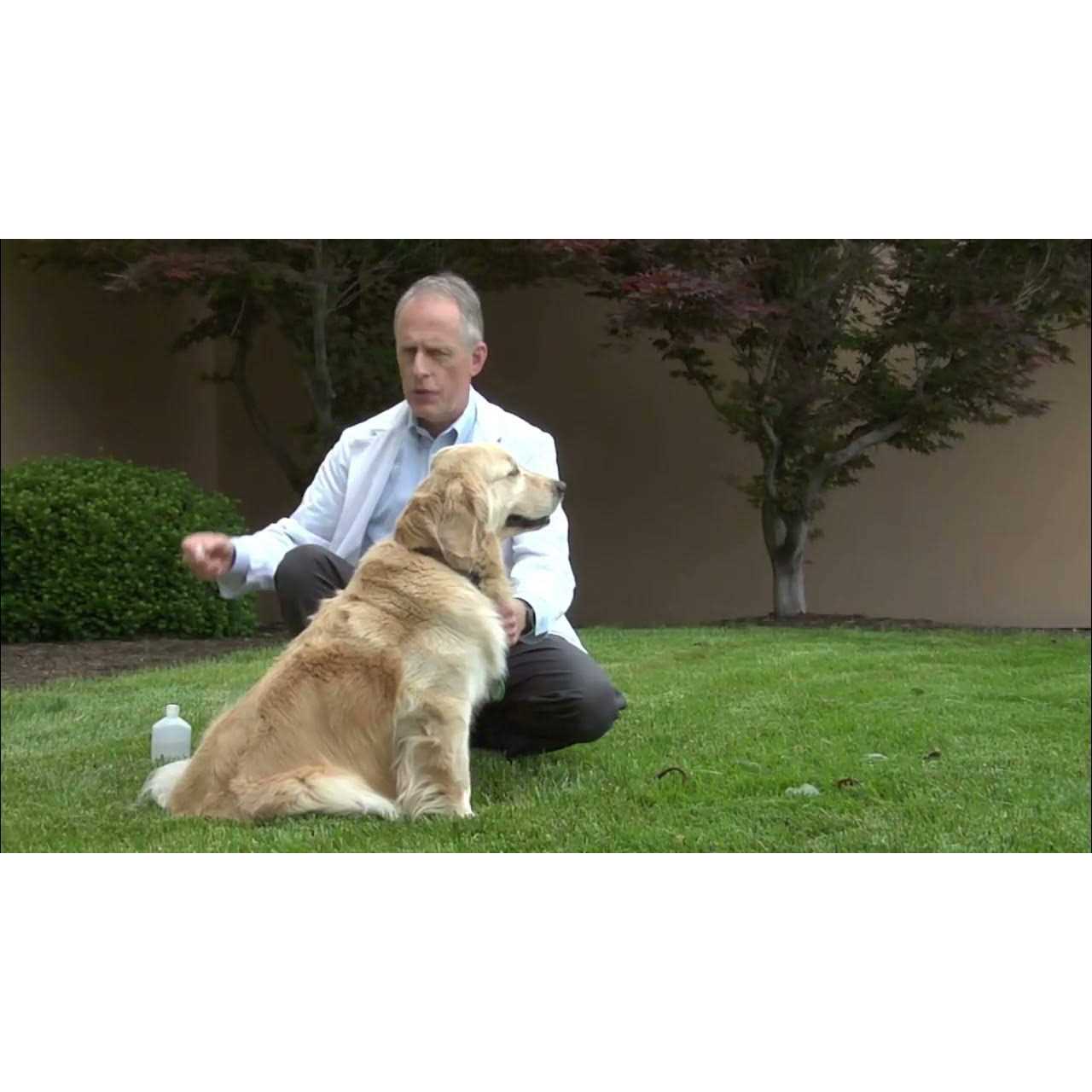 Spectra 5 Canine Vaccine - Healthber