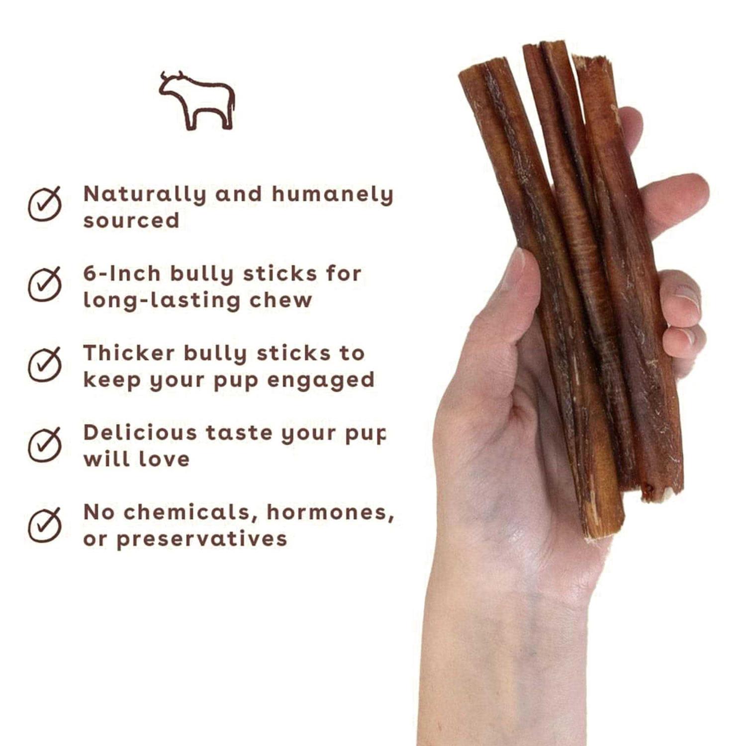 Pupford Bully Stick Dog Chew - Healthber
