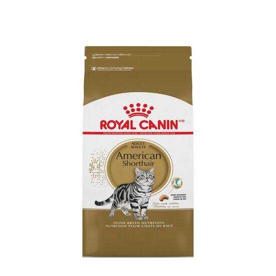 Royal Canin American Shorthair Adult Cat Food - Healthber