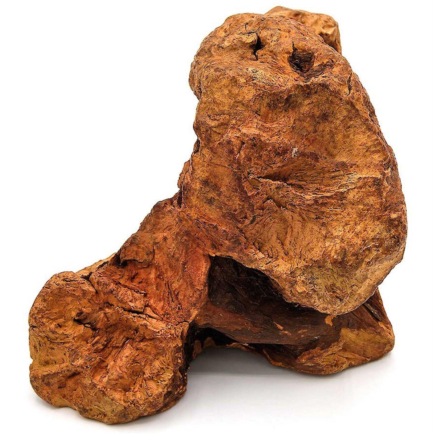 Little Loyals Premium Heather Tree Wood Dog Chew - Healthber