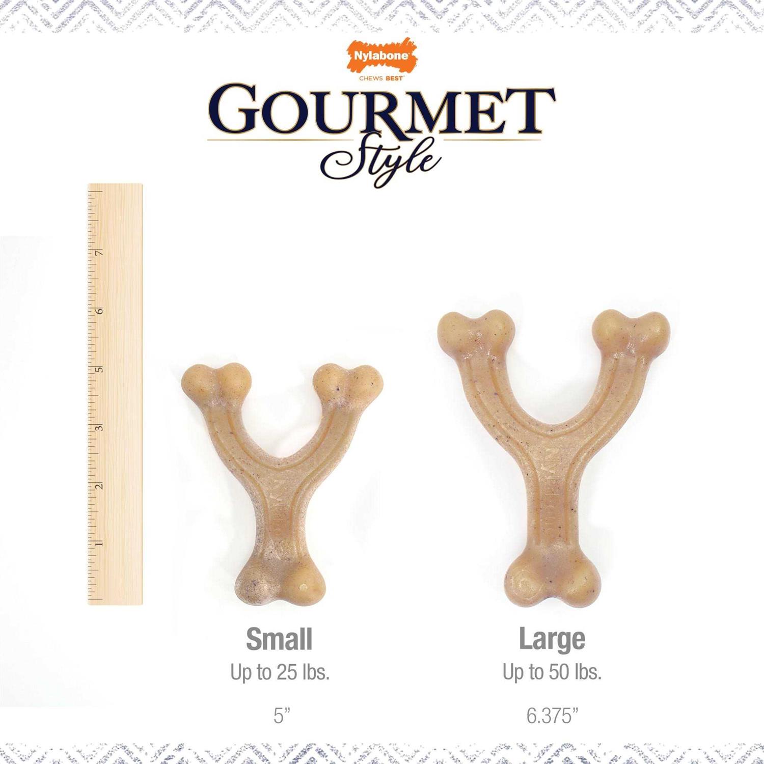 Nylabone Gourmet Style Strong Chew Wishbone Dog Toy - Healthber