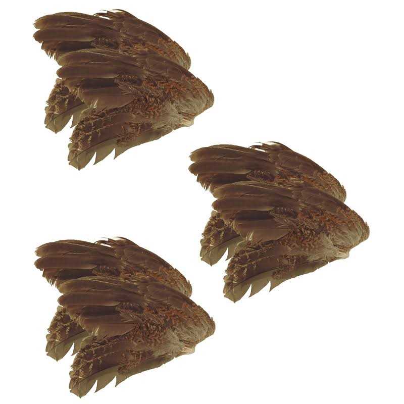 Classic T Designs Quail Wings 6 Pk - Healthber