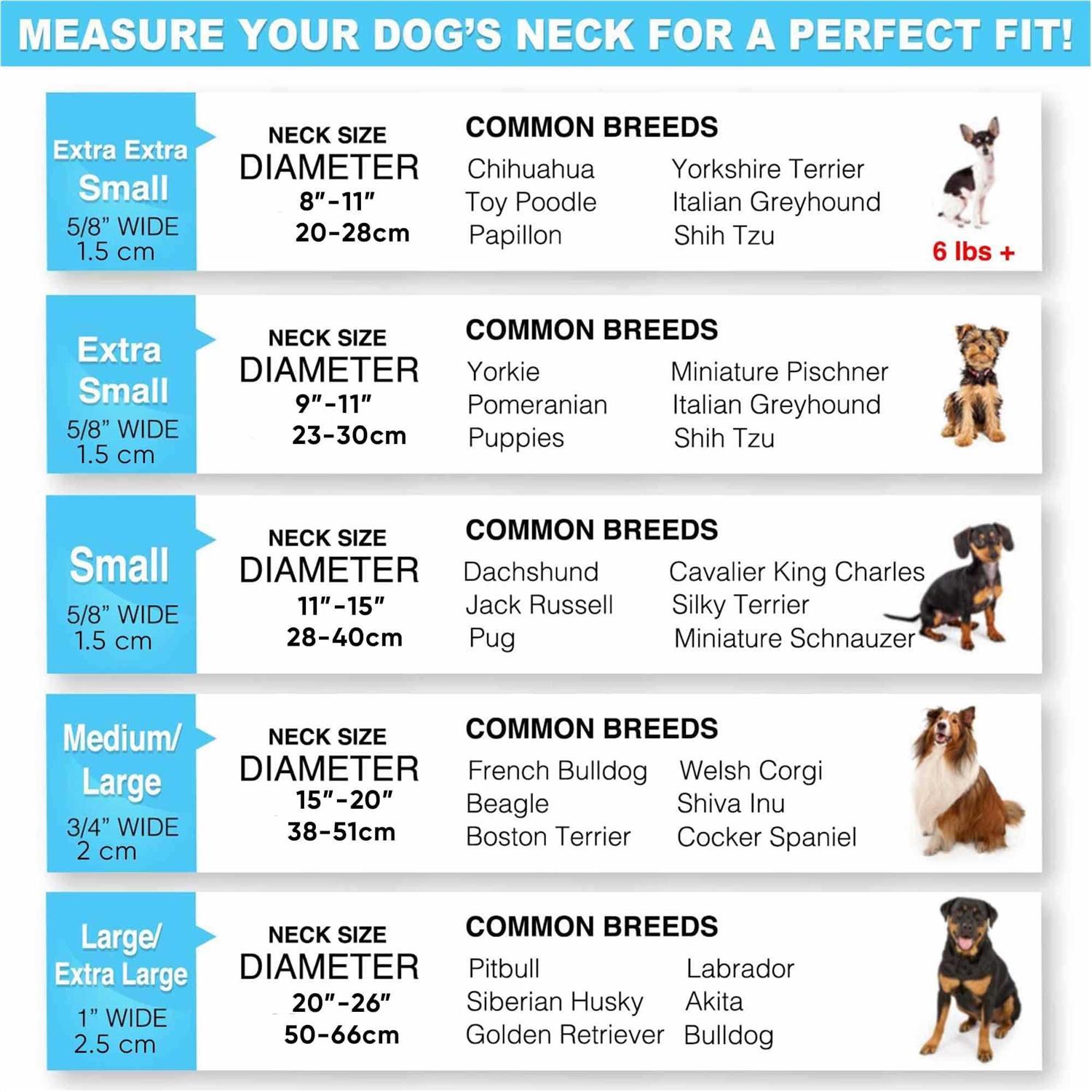 Pawtitas Dog Collar Reflective Collar Small - Healthber