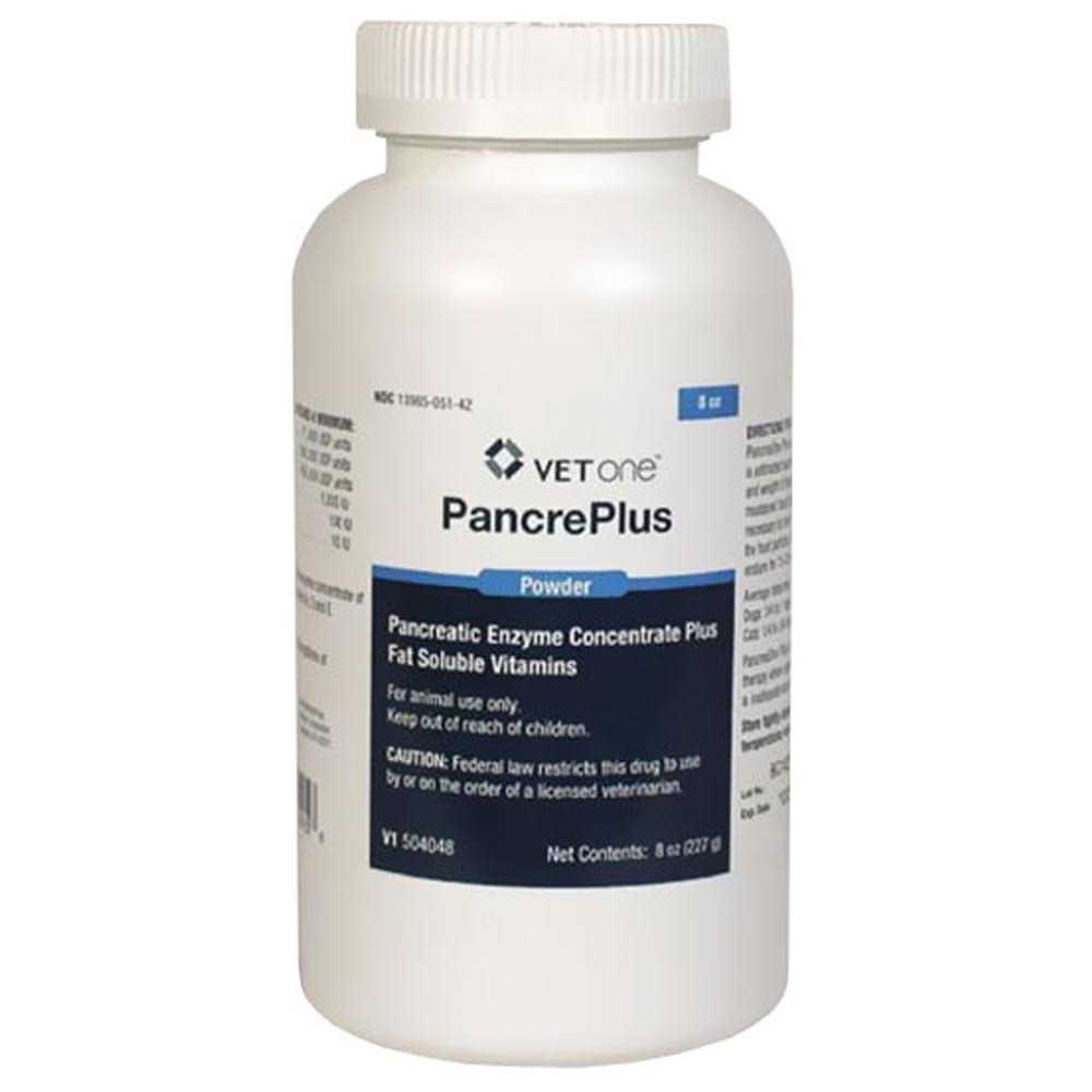 PancrePlus Powder for Dogs & Cats - Healthber