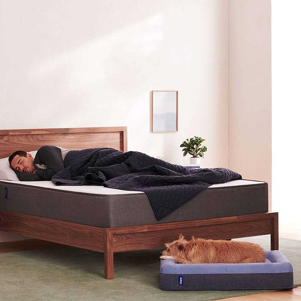 Casper Dog Bed - Healthber