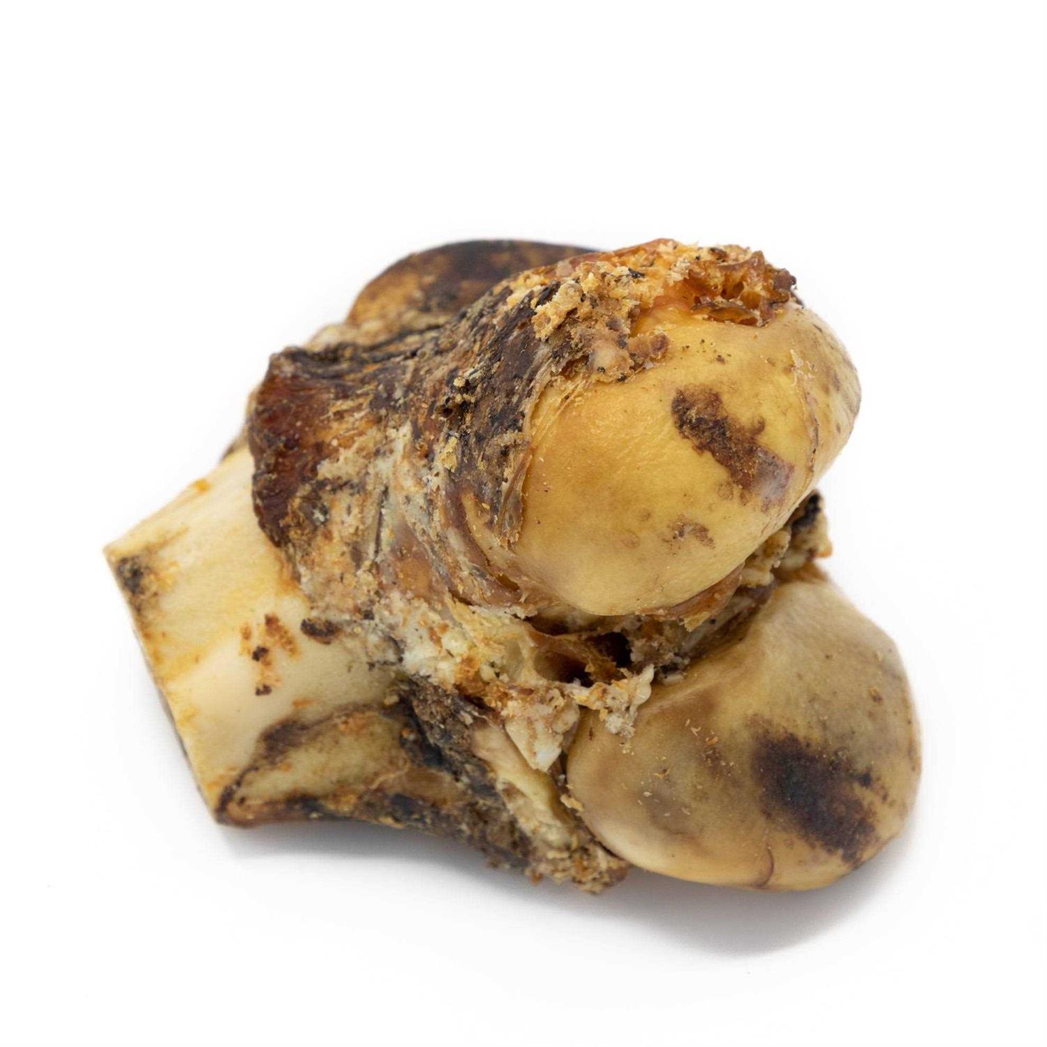 Best Bully Sticks Knuckle Bone for Dogs - Healthber