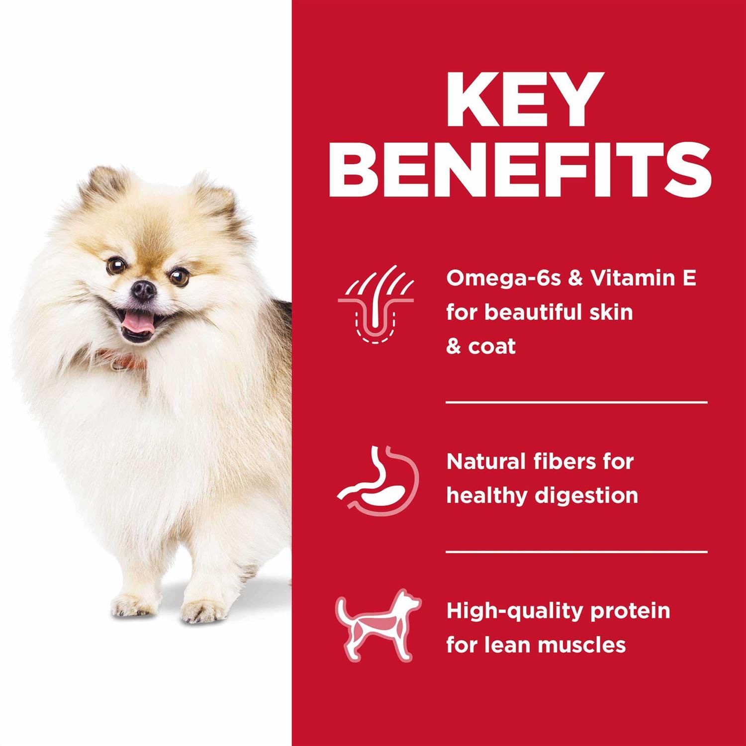 Hill’s Science Diet Adult Small Bites No Corn, Wheat or Soy Dry Dog Food - Healthber