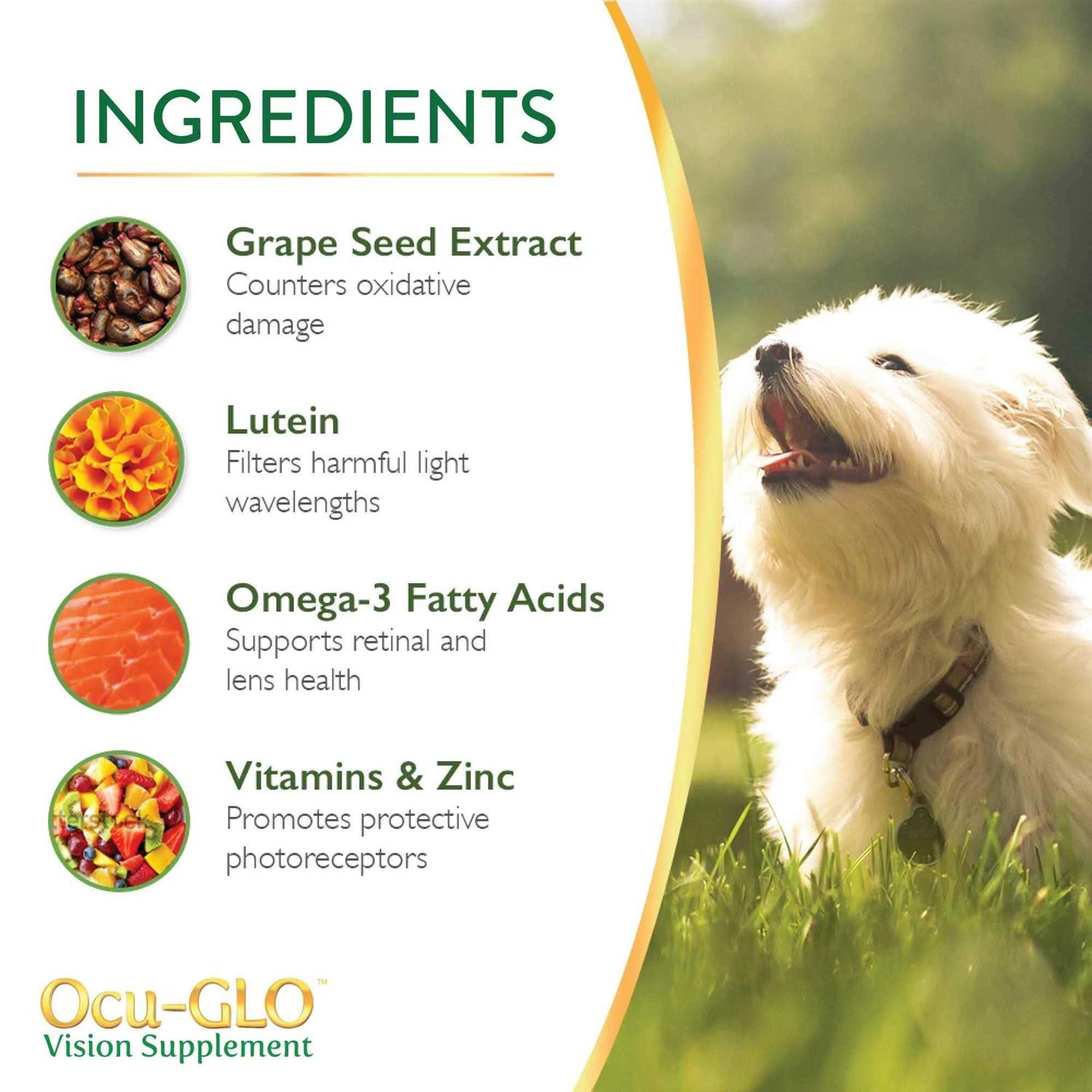 Ocu-GLO for Medium to Large Dogs - Healthber