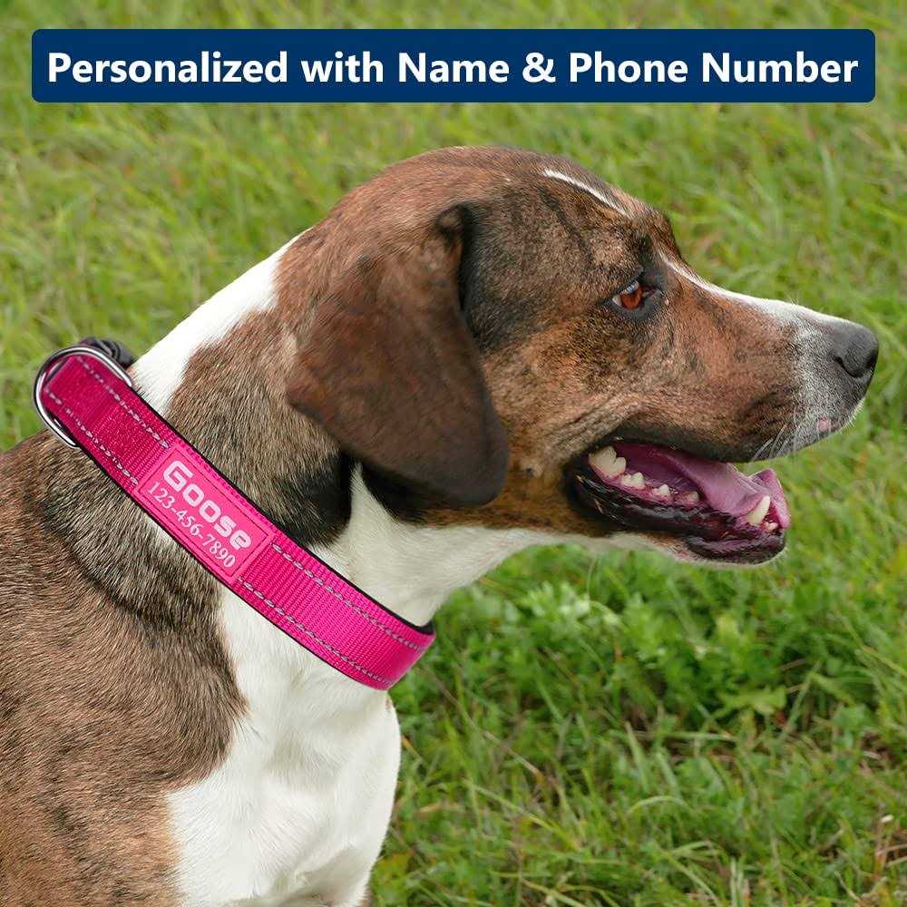 Personalized Dog Collars Custom with Pet Name and Phone Number Soft Neoprene Padded Reflective Nylon Collar - Healthber