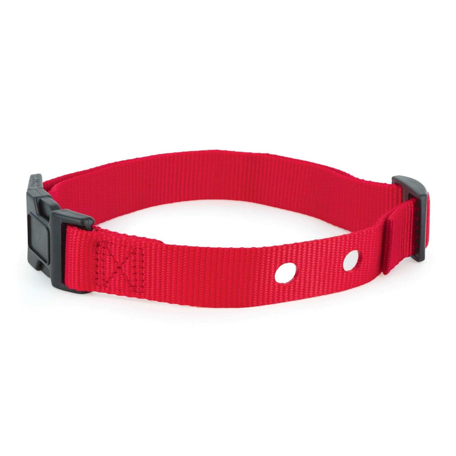 PetSafe 1 Inch Replacement Collar Strap with 2 holes - Healthber