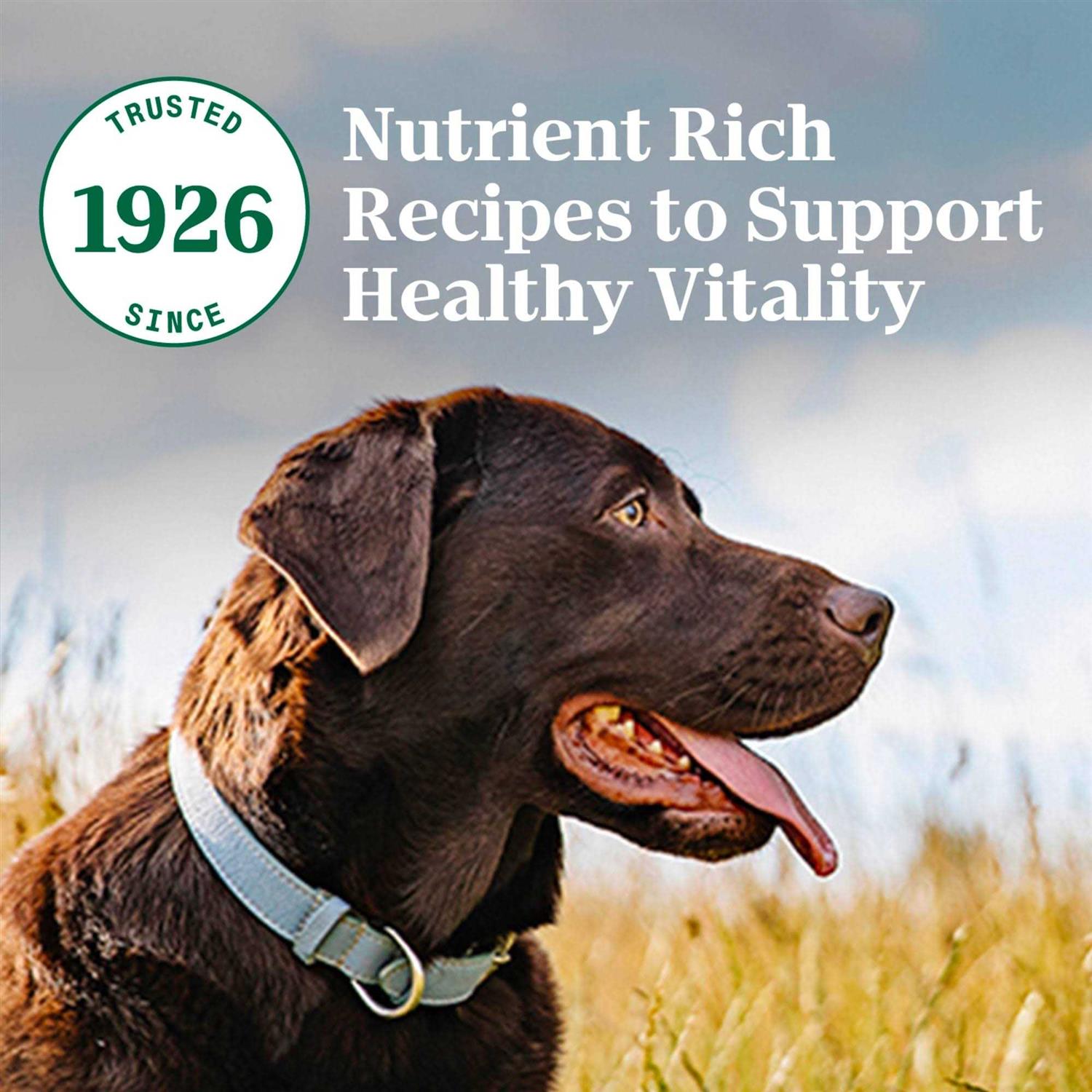Nutro Natural Choice Adult Chicken & Brown Rice Dry Dog Food - Healthber