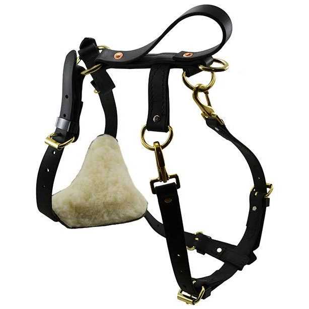 Ray Allen Manufacturing Signature K9 Biothane Multi-Function Harness - Healthber