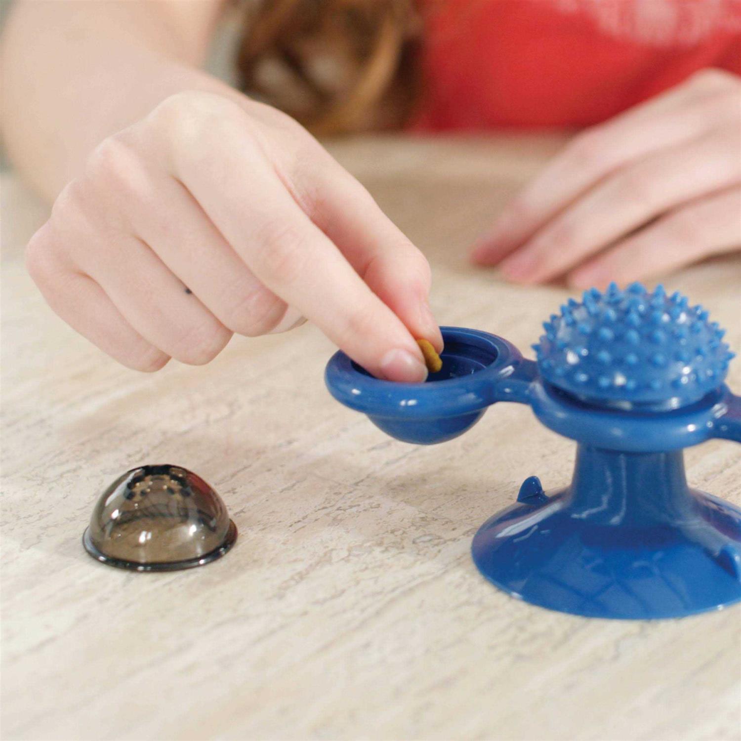 Pets Know Best Purrfect Spinner Toy & Grooming Brush - Healthber
