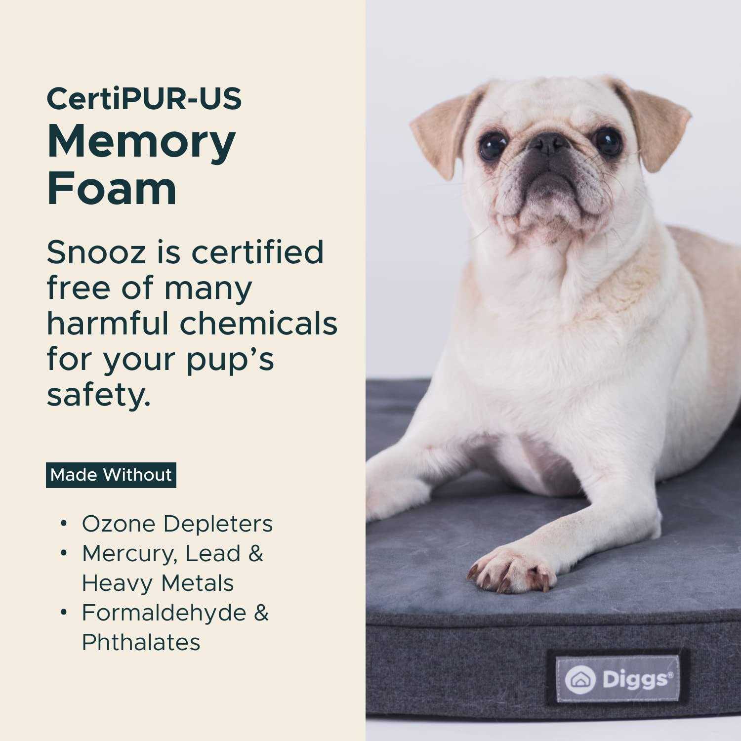 Snooz Memory Foam Crate Pad & Dog Bed Diggs - Healthber