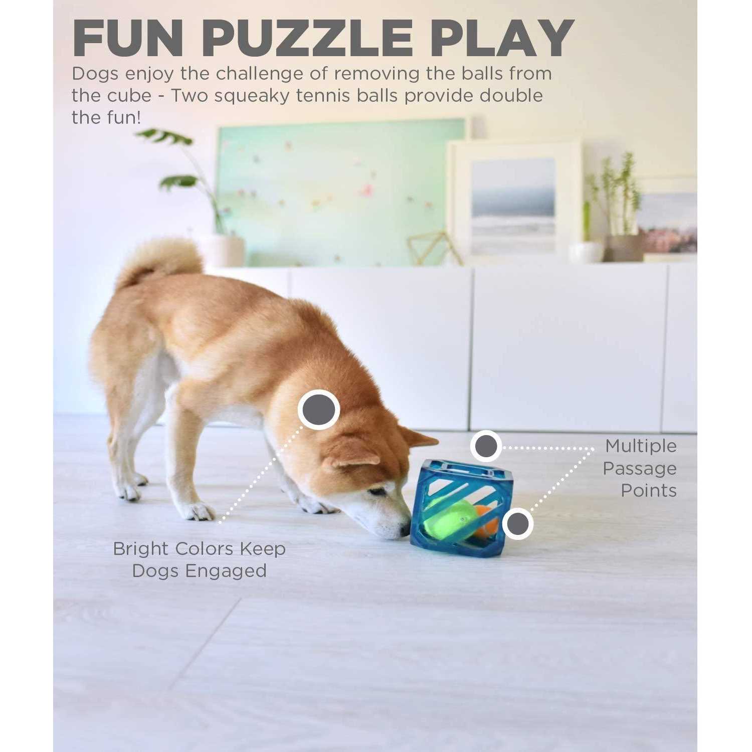 Outward Hound Puzzle Cube Interactive Dog Toy - Healthber