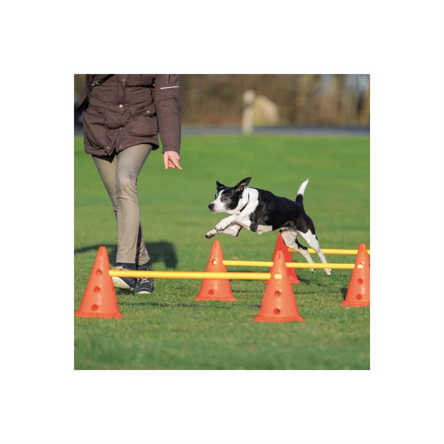 Trixie Dog Agility Hurdle Cone Set - Healthber