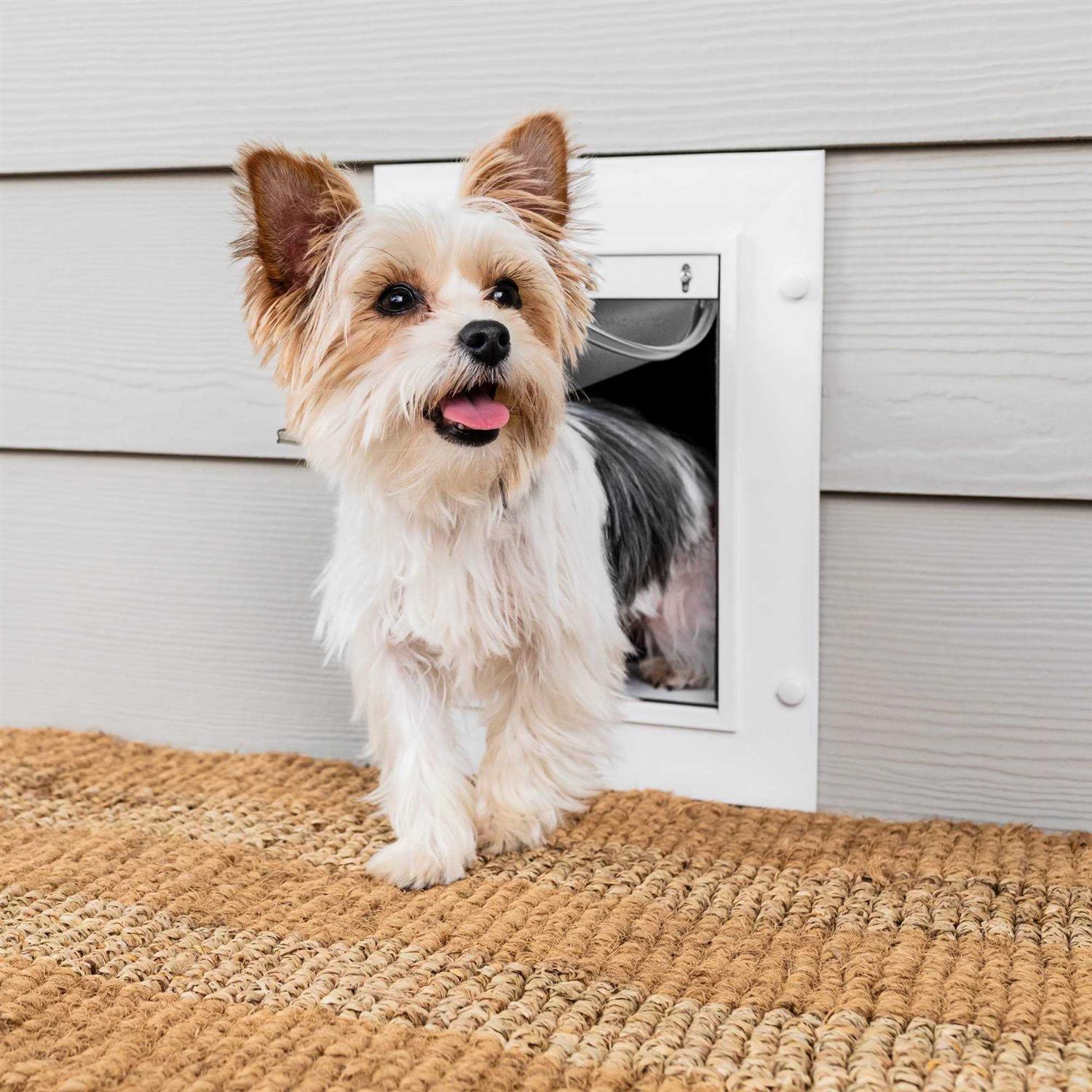 PetSafe Wall Entry Pet Door - Healthber