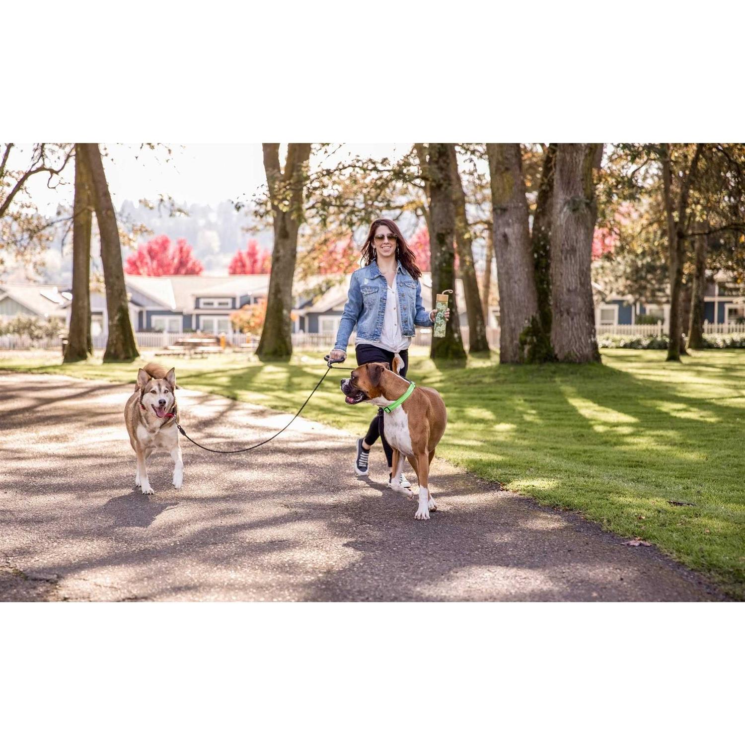 Wigzi Dual Doggie Gel Rope Leash - Healthber