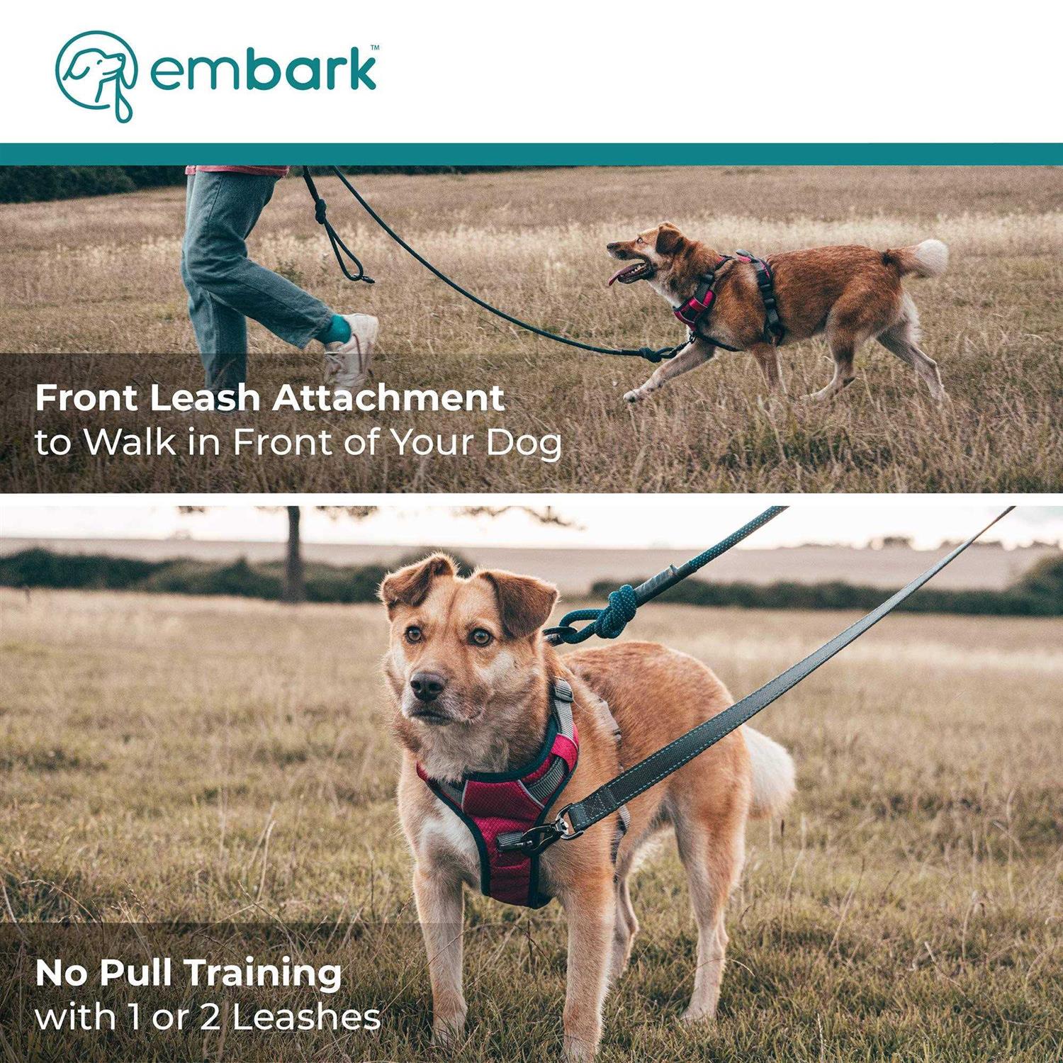 Embark Pets Embark Adventure Dog Harness No-Pull Dog Small Dogs Leash - Healthber