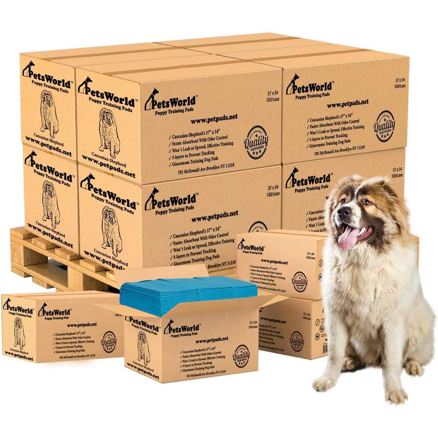 petsworld Pet Potty Pads Xxxl Enormous Tear Resistant - Healthber