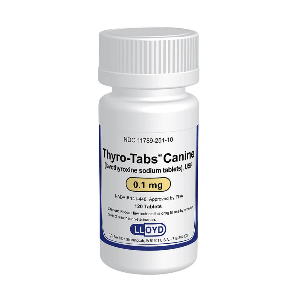 Rx Thyro-Tabs (levothyroxine sodium tablets) Tablets for Dogs - Healthber