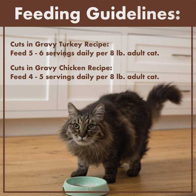 Nutro Perfect Portions Grain Free Cuts in Gravy Turkey Wet Cat Food - Healthber