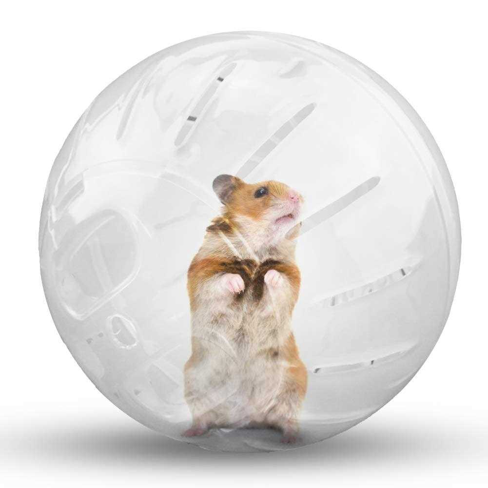 CHUQIANTONG Hamster Exercise Ball Silent Hamster Wheel Small Animals Transparent Ball For Dwar Rat Relieves Boredom And Increases Activity - Healthber