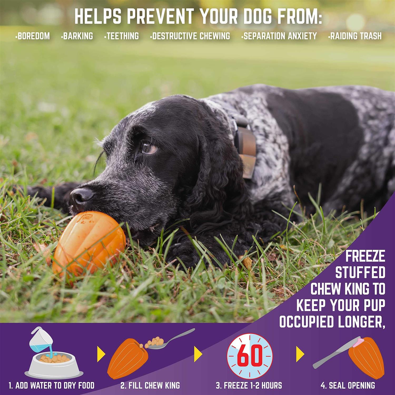 Chew King Premium Treat Dog Toy - Healthber