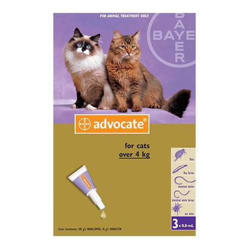 Advocate for Large Cat over 4kg - Healthber