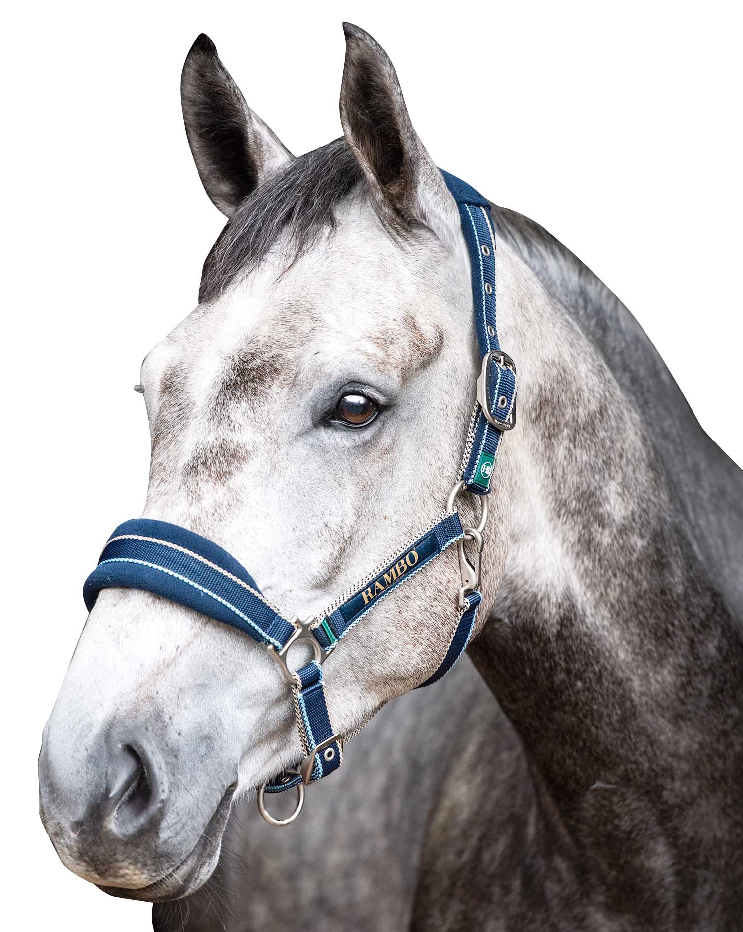 Rambo Padded Halter, Witney Navy - Healthber