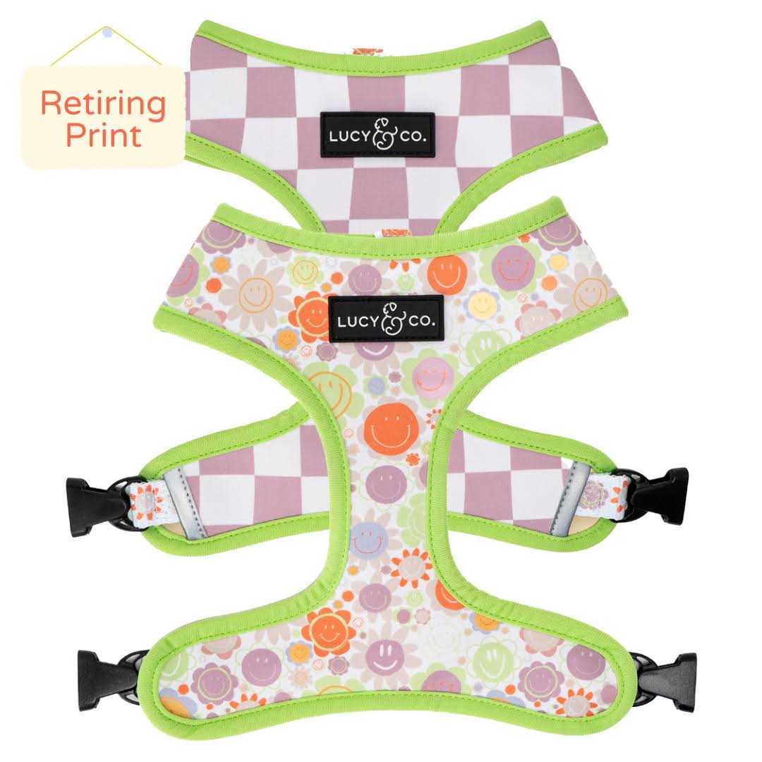 Lucy & Co Reversible Dog Harness - Healthber