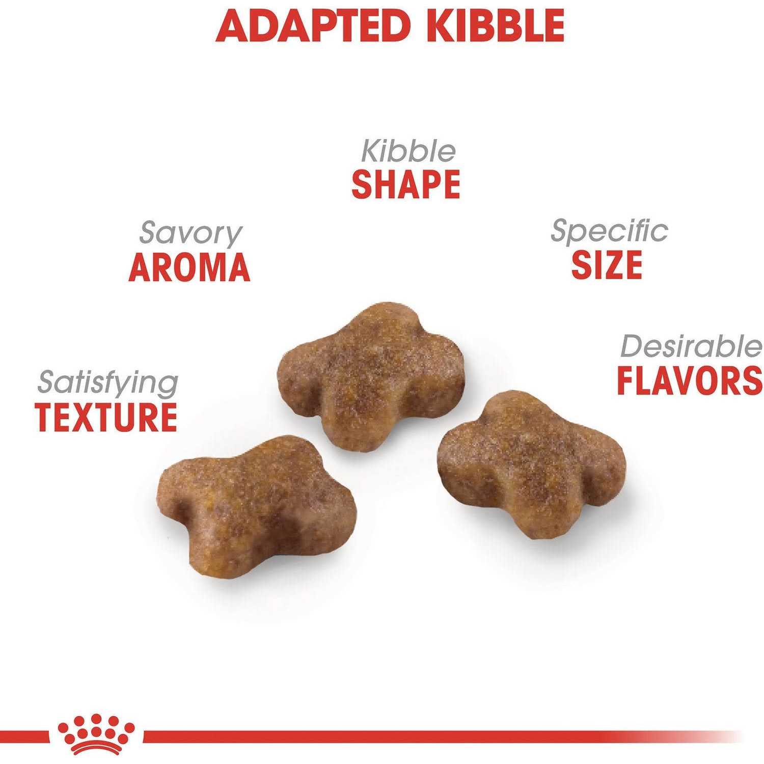 Royal Canin Kitten Feline Health Nutrition Kitten Dry Food - Healthber