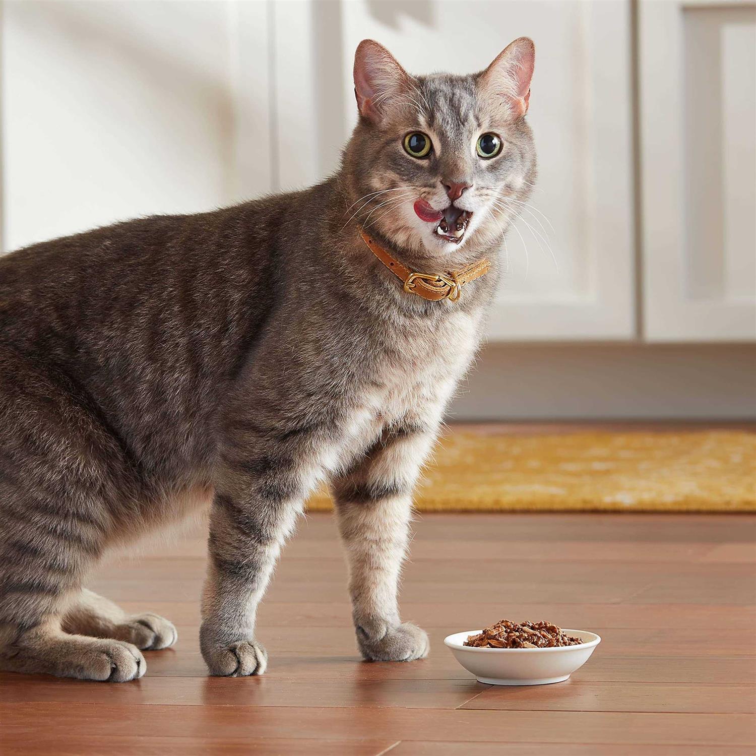 Meow Mix Tender Favorites Wet Cat Food - Healthber