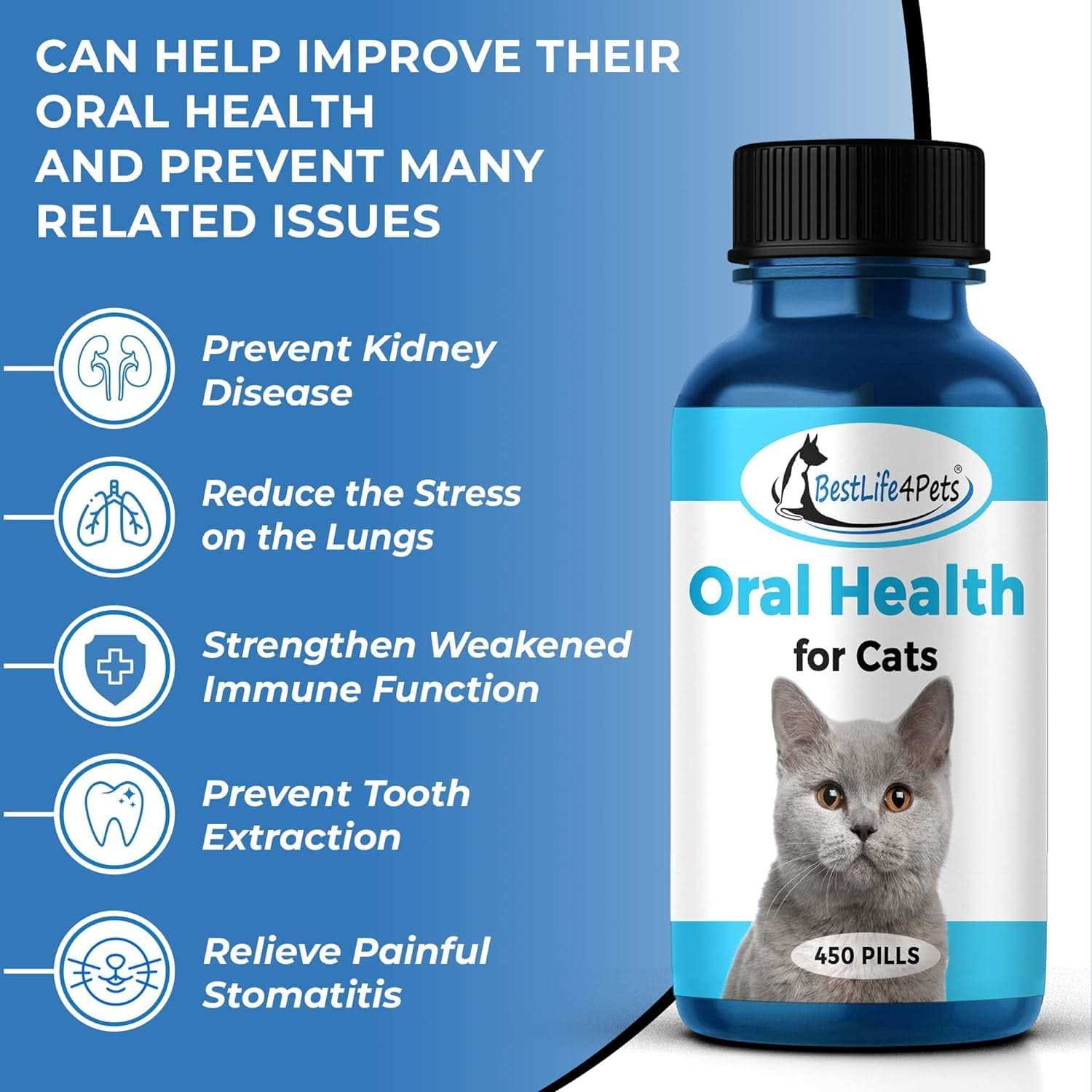 BestLife4Pets Oral Health for Cats Cat Dental Care Supplement Anti inflammatory Pain Relief for Stomatitis Gingivitis and Gum Disease Cat Supplies - Healthber