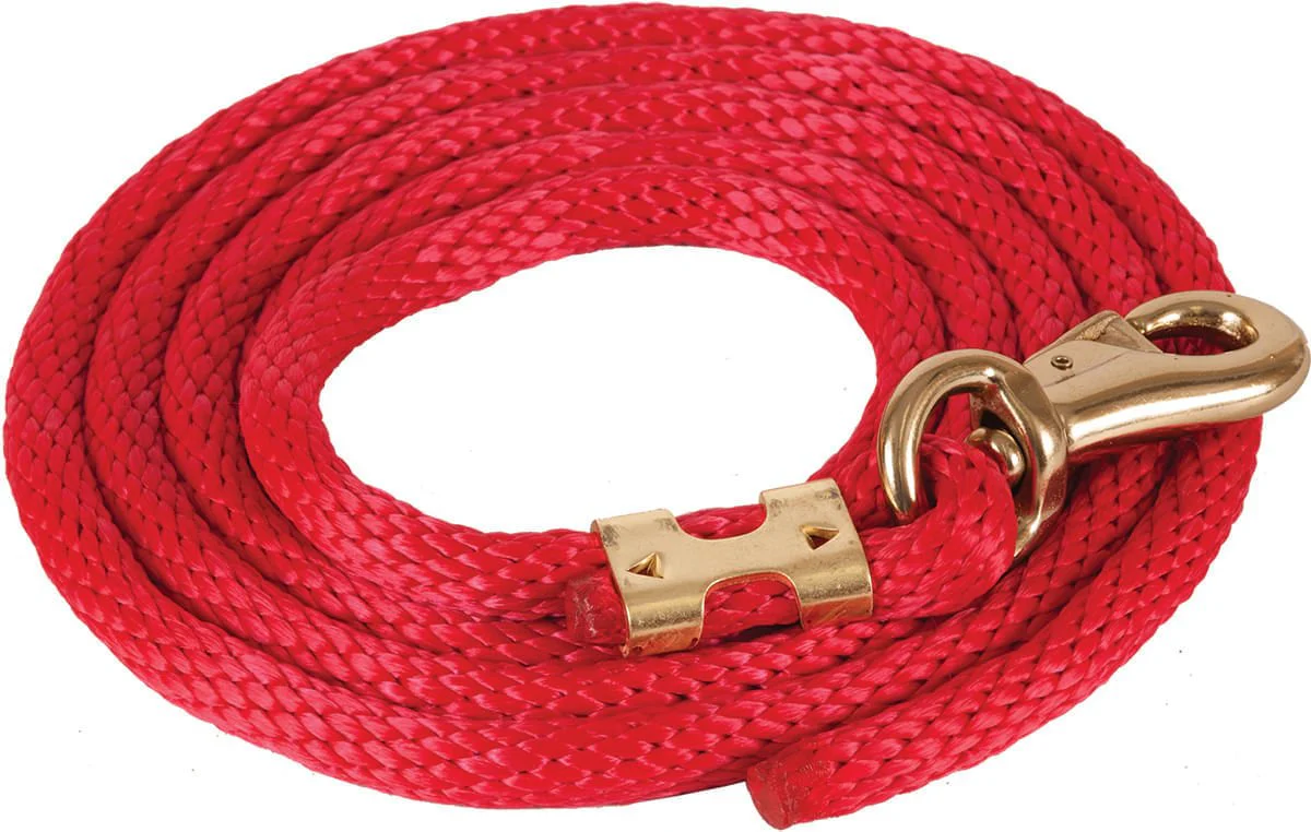 Mustang Solid Poly Lead Rope, Bull Snap - Healthber
