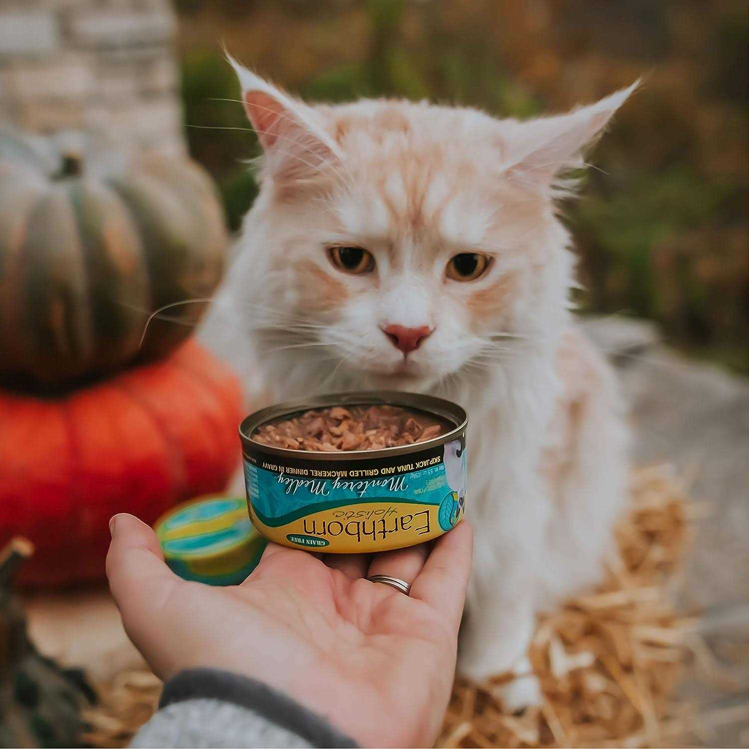 Earthborn Holistic Monterey Medley Cat Food - Healthber