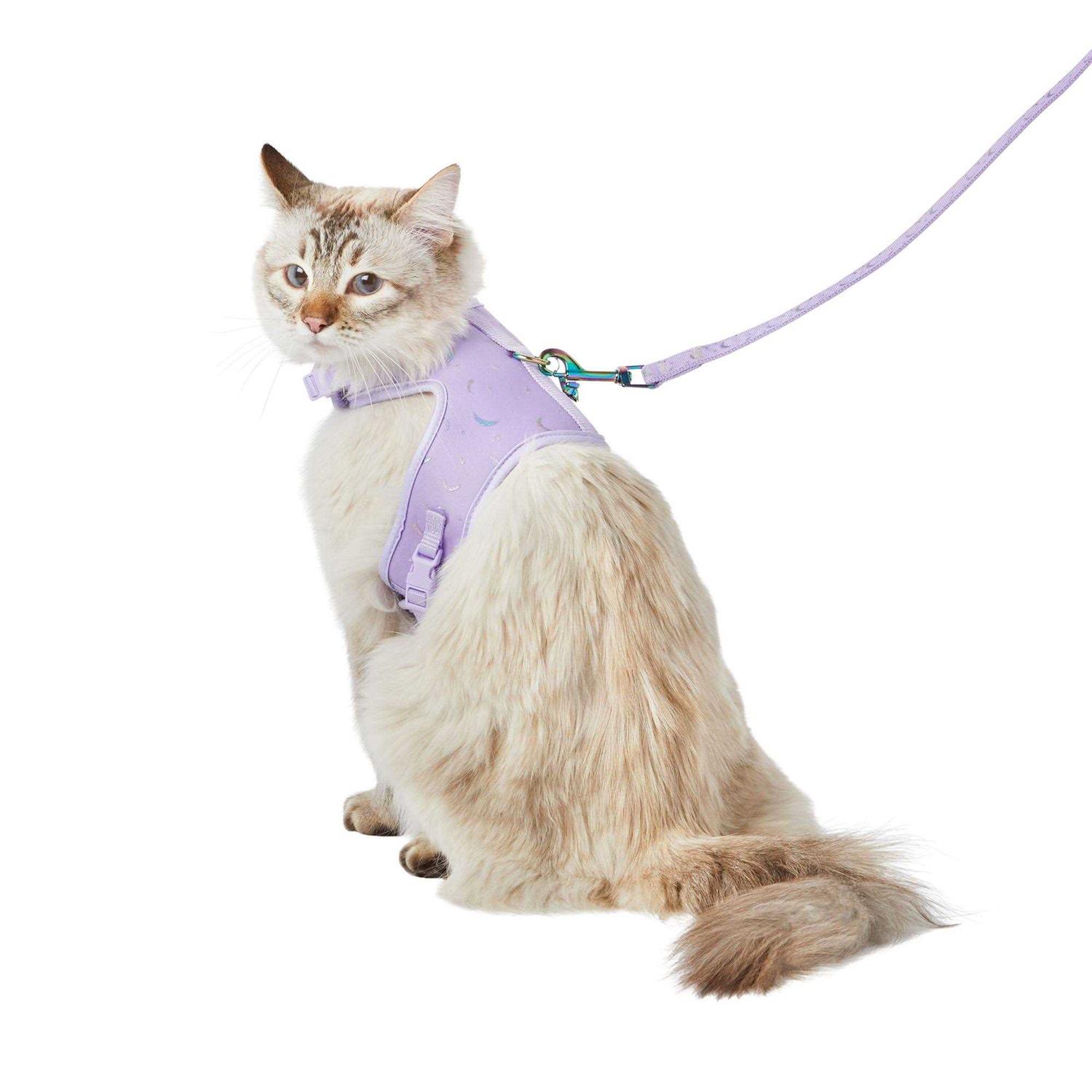 Whisker City Cat Leash & Harness Combo - Healthber