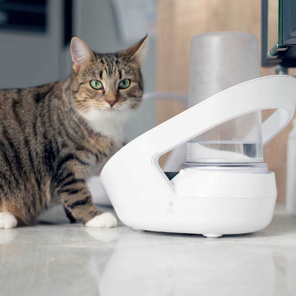 Sure Petcare Felaqua Connect - Healthber