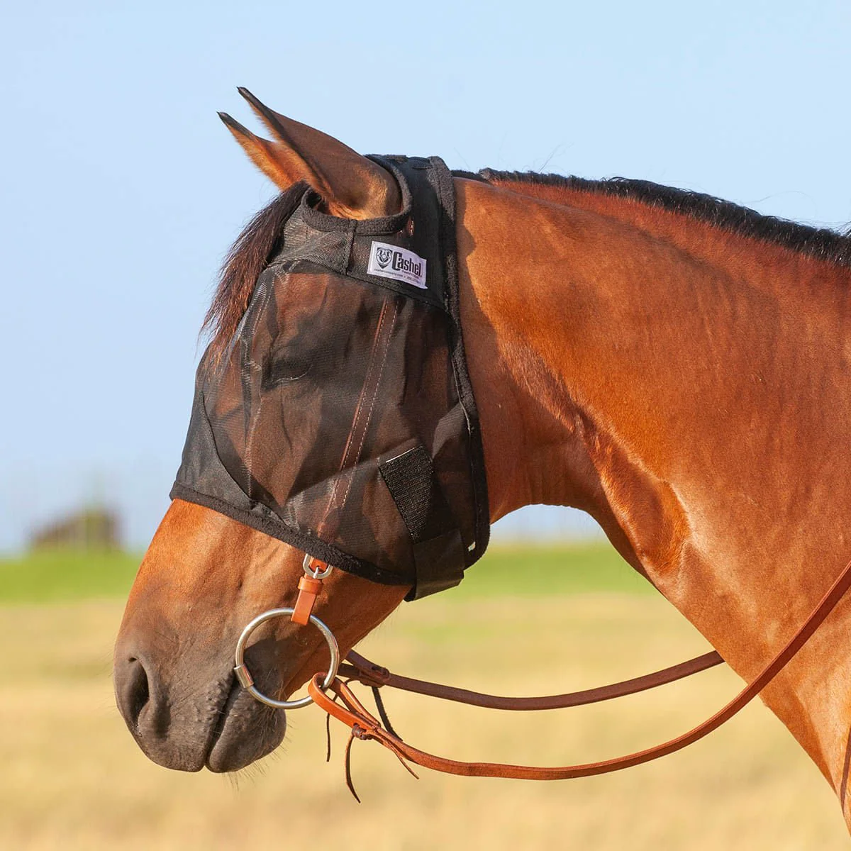 Cashel Quiet Ride Fly Mask without Ears, Black - Healthber