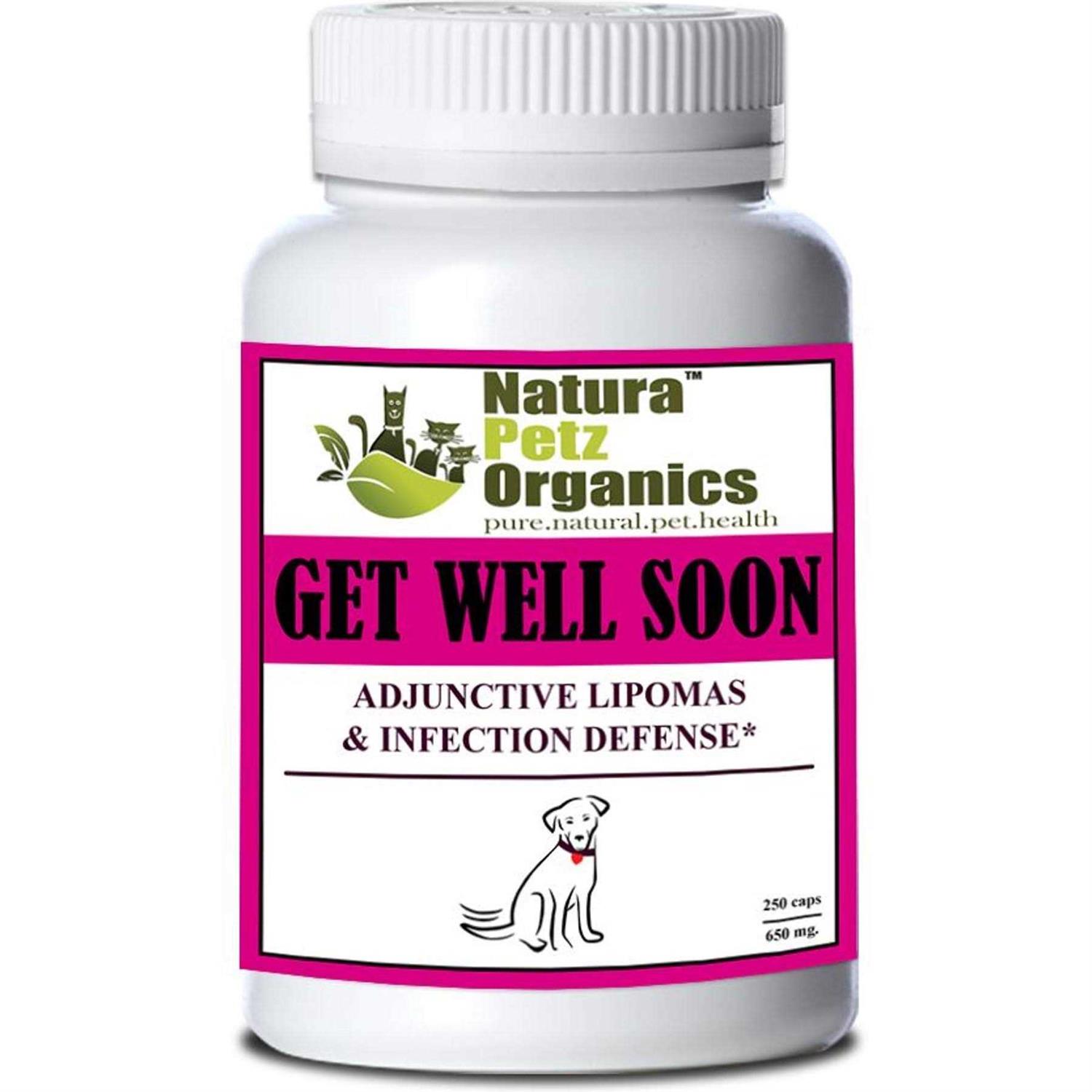 Organic Pet Systems Get Well Soon Adjunctive Lipoma + Infection Defense* DOG caps / 650 mg - Healthber
