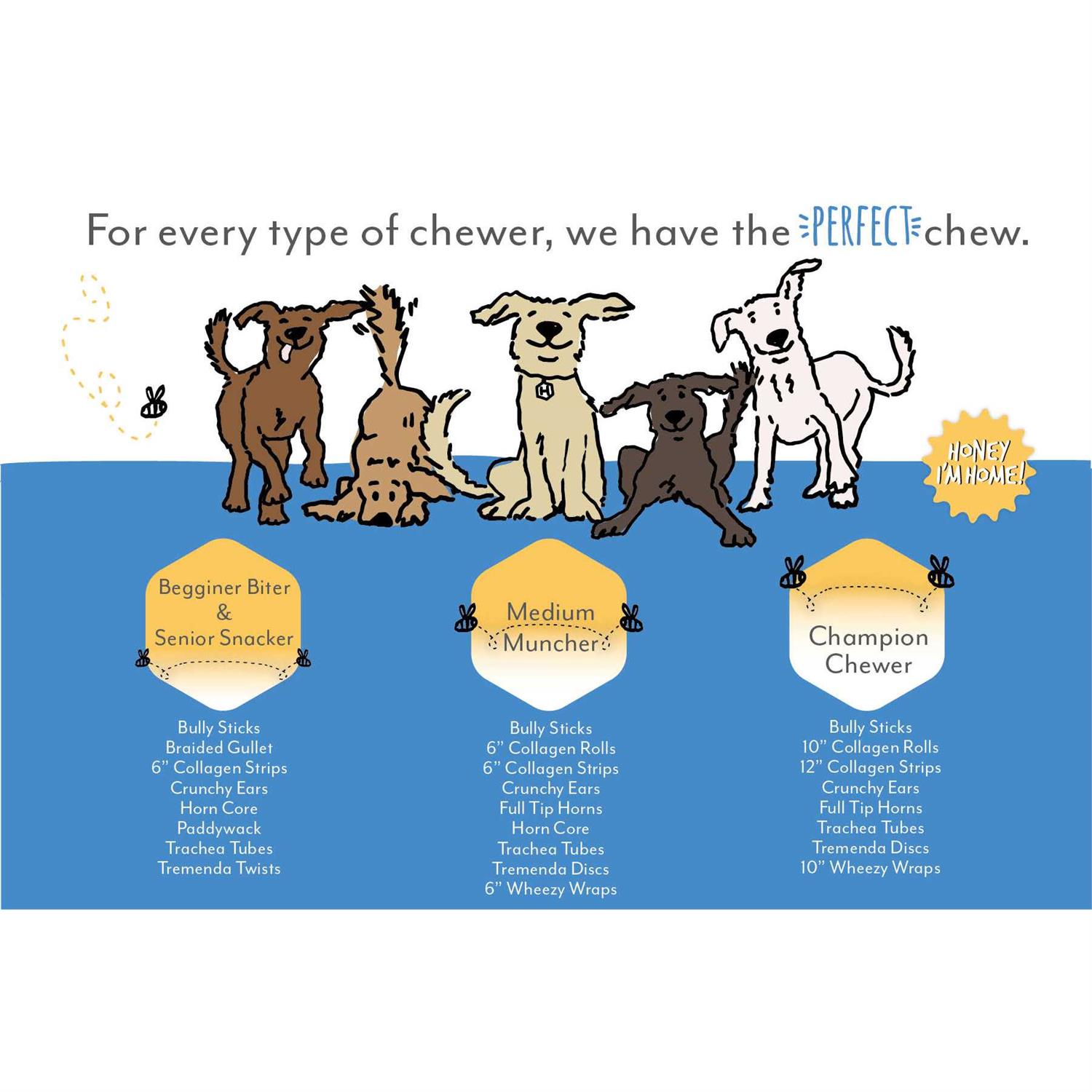 Honey I’m Home Dog Buffalo Trachea - Healthber