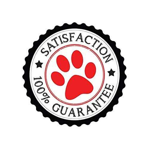 Only Natural Pet Hemp Calming Support Soft Dog Chews - Healthber