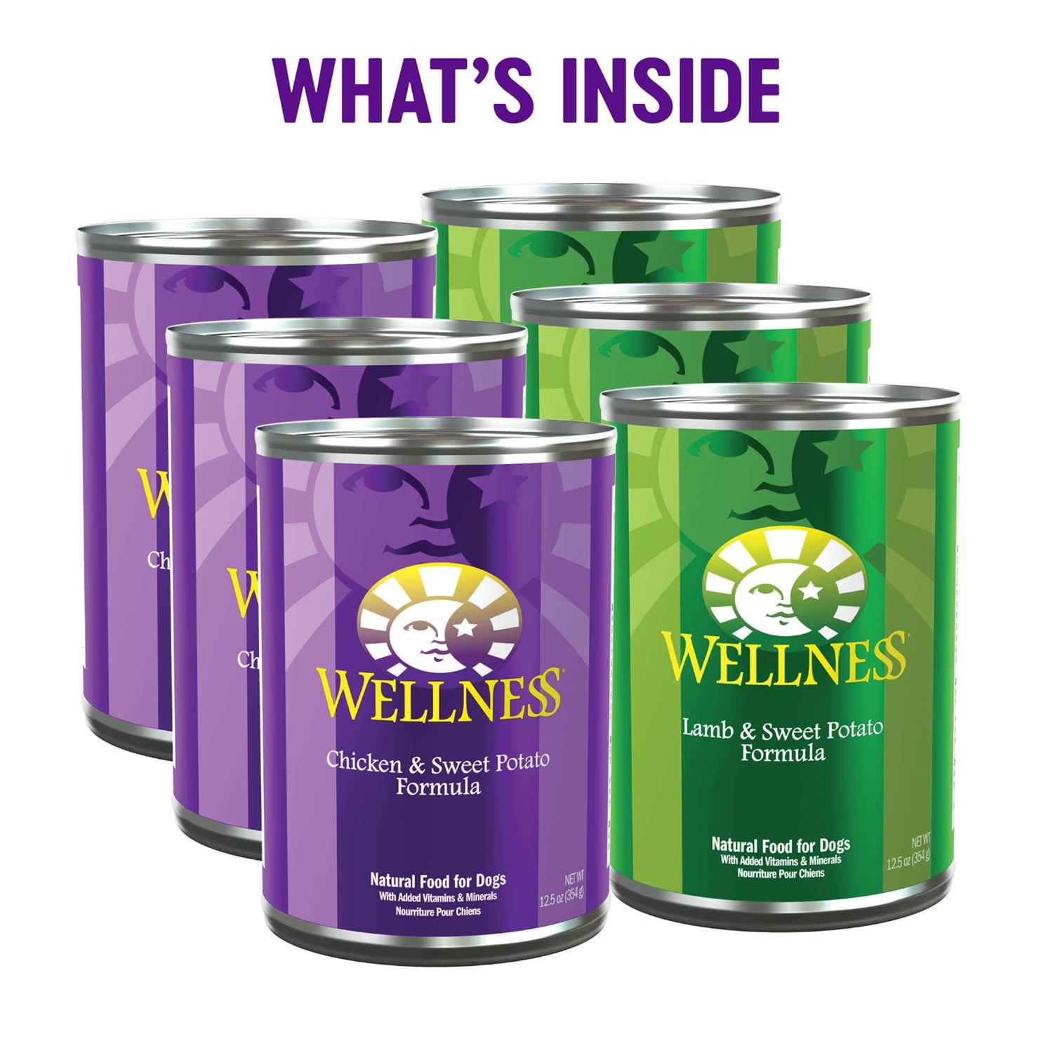 Wellness Complete Health Pate Variety Pack Wet Dog Food - Healthber