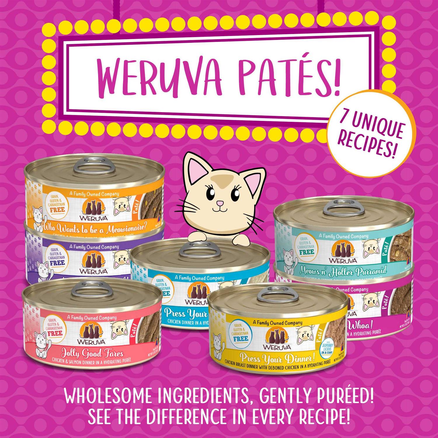 Weruva Cat Pate Tic Tac - Healthber
