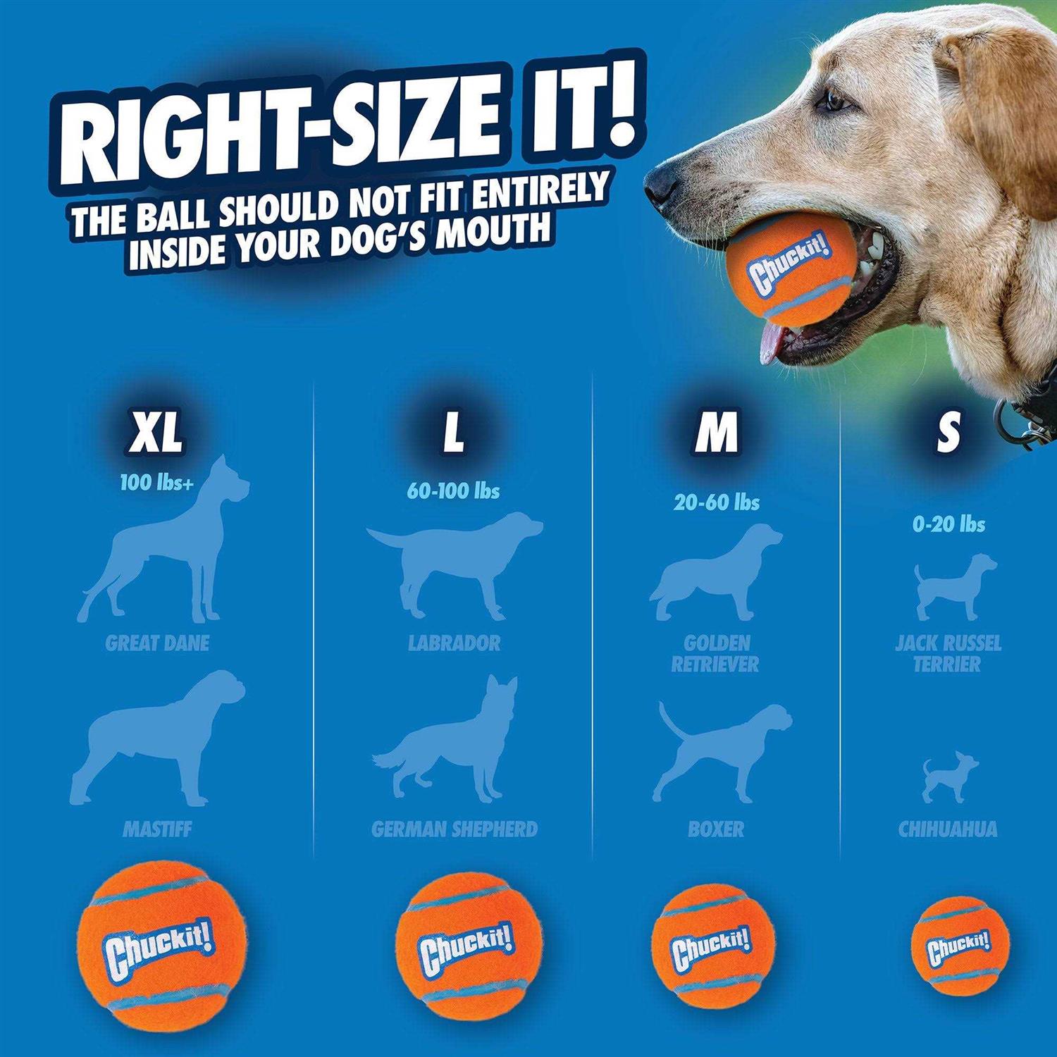 Chuckit! Tennis Ball - Healthber