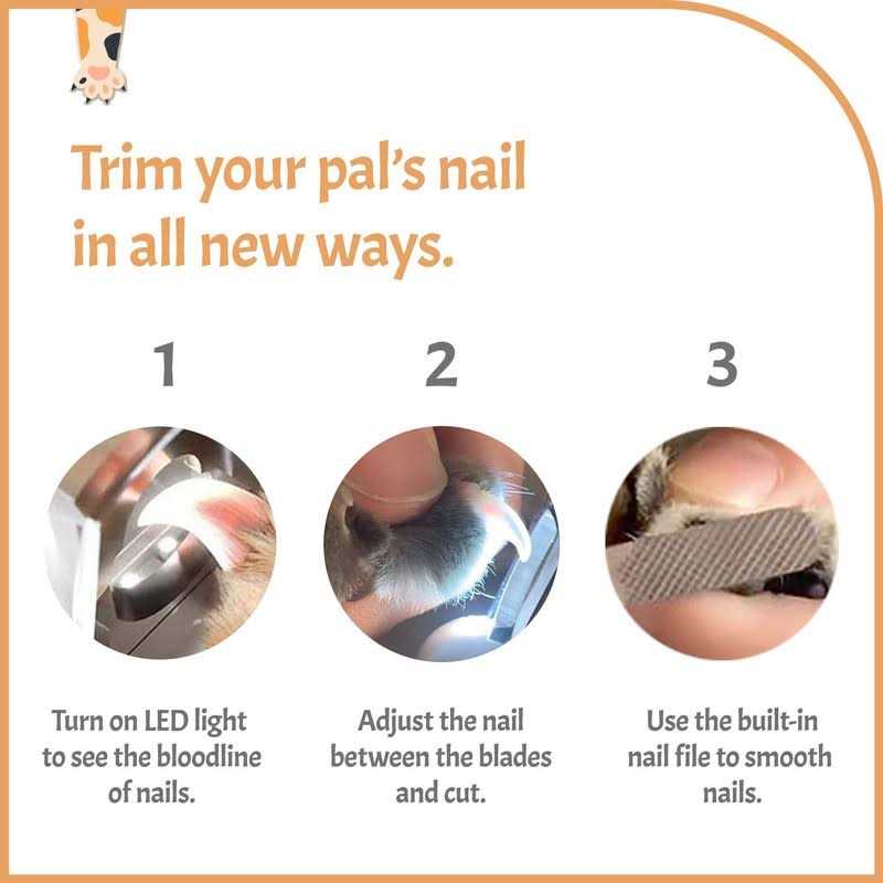 Pawsibility Reinvented Pet Nail Clippers for Your Pal Ultra Bright LED Light for Bloodline - Healthber