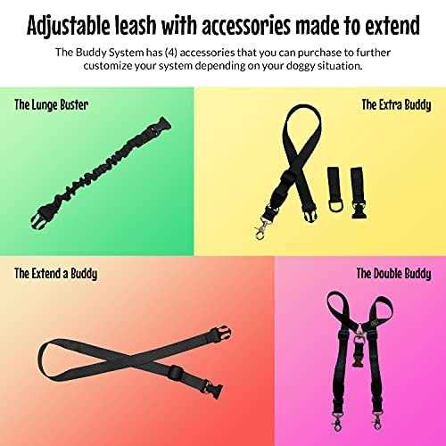The Buddy System Adjustable Hands Free Dog Leash, Hand-Free Leash for Running, Jogging, Walking, Hiking and Training Service - Healthber