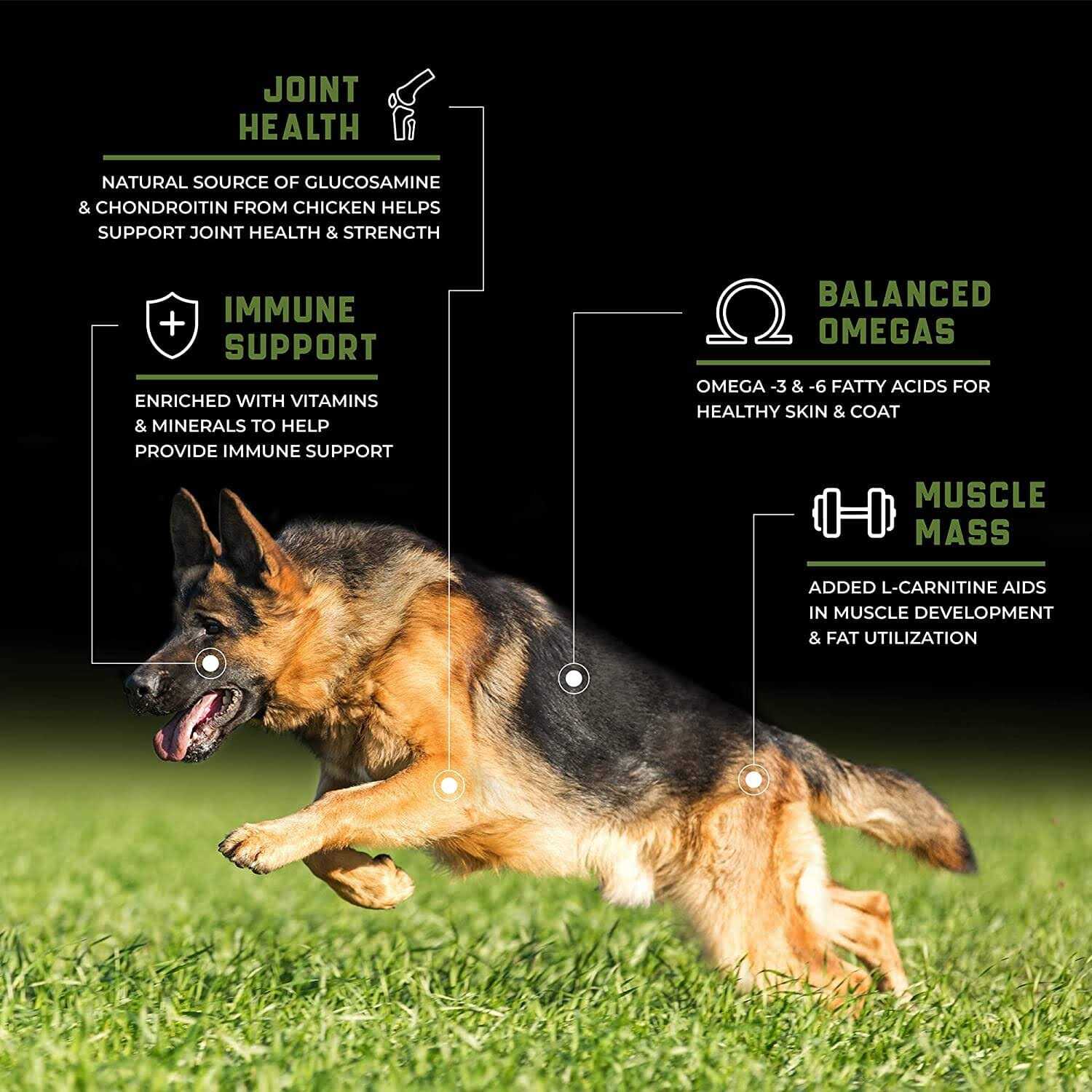 Sportmix CanineX Grain-Free Performance Chicken Dry Dog Food - Healthber