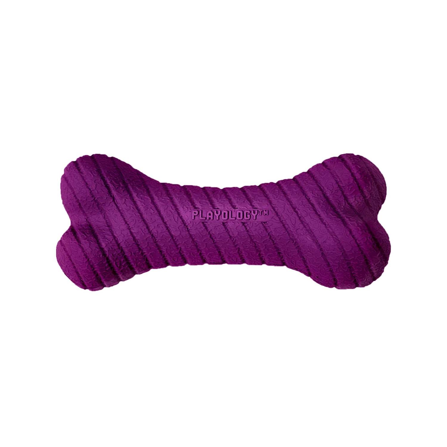 Playology Dual Layer Bone Dog Toy - Healthber